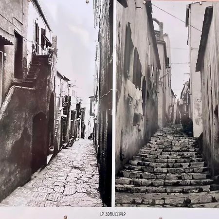 Casa Armonia - Elba Affitti Rio dellʼElba