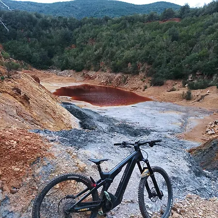 Casa Armonia - Elba Affitti *